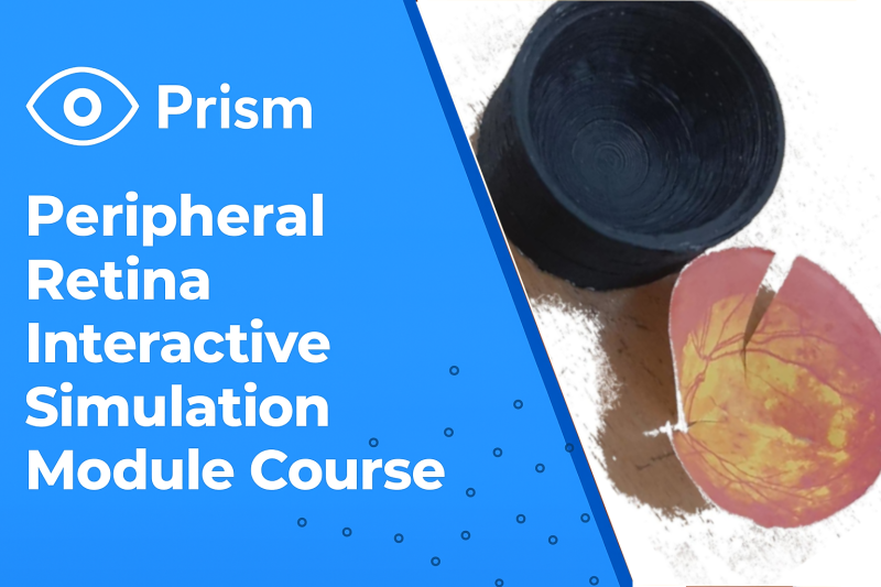 Retinal Photocoagulation Training Course